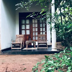https://grand-freedom.kandyhotelsnow.com